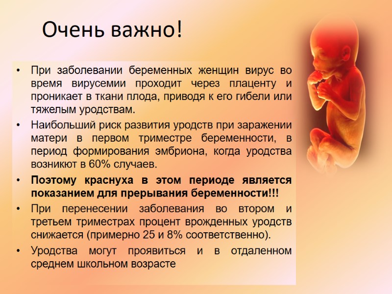 Очень важно! При заболевании беременных женщин вирус во время вирусемии проходит через плаценту и